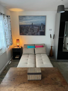 Cozy Studio Flat